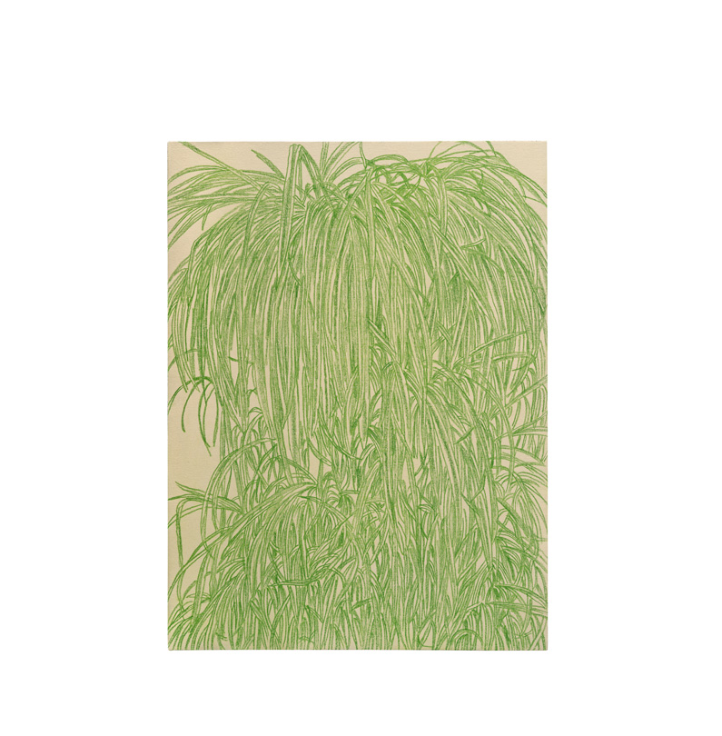                             <em>robert plant, </em>gesso & colored pencil
on canvas, 17