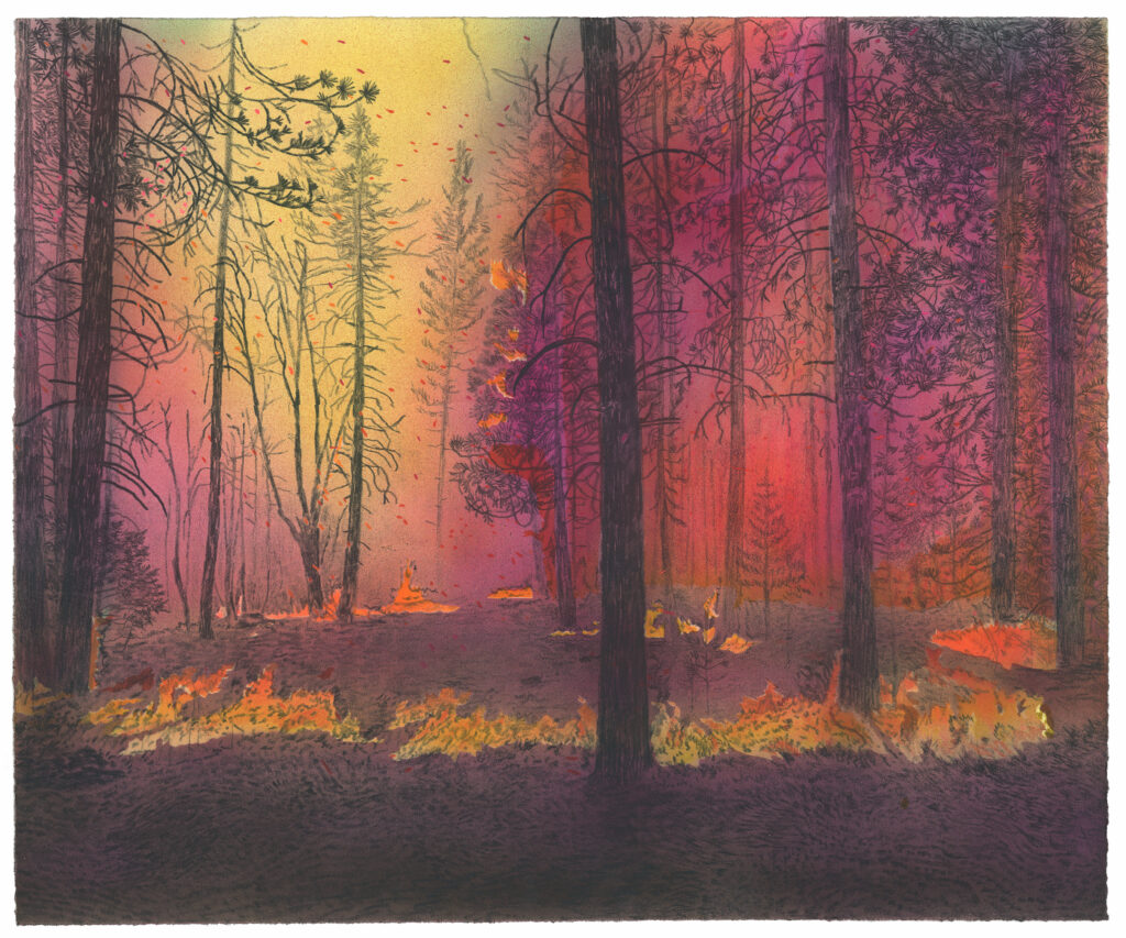   <em>fire (you say you're gonna leave me),</em> colored pencil and acrylic on paper, 
20