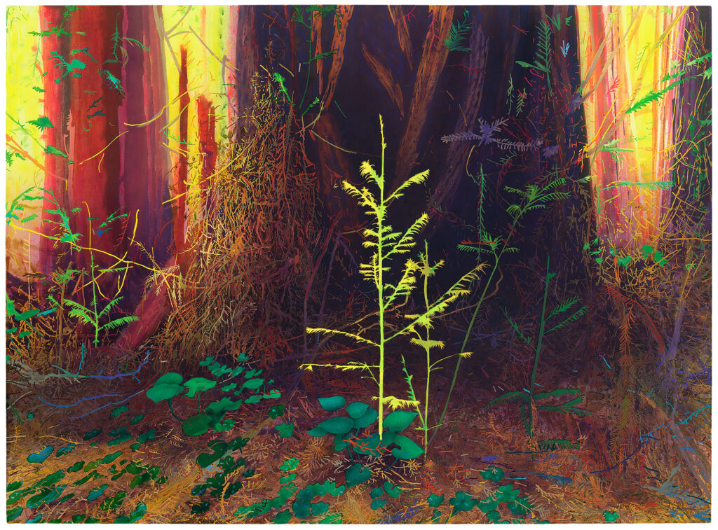   <em>new growth in an old forest,</em> acrylic on linen, 
55